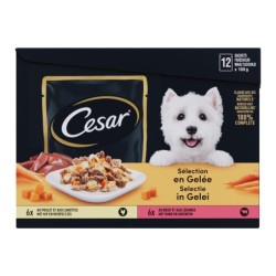 Cesar Selection in Gelee - Beutel - 12 x 100 g