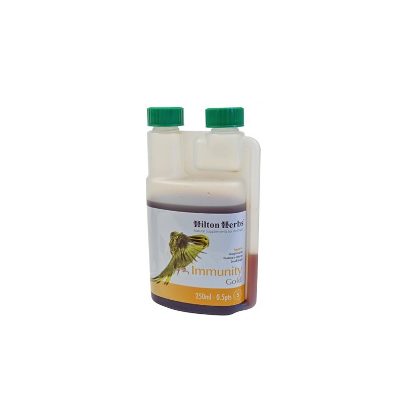 Hilton Herbs Immunity Gold for Birds (für Vögel) - 500 ml