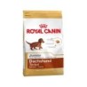 Royal Canin Dachshund Puppy Hundefutter - 1,5 kg