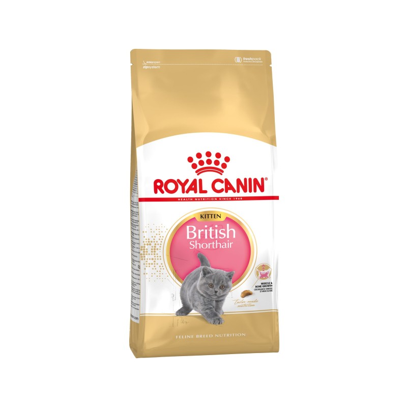 Royal Canin British Shorthair Kitten Katzenfutter - 2 kg