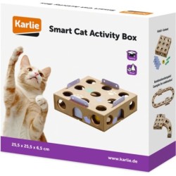 Karlie Smart Cat Activity...