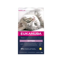 Eukanuba Healthy Start Kittenfutter - 2 kg