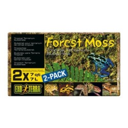 Exo Terra Forest Moss