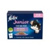 Felix Jeden Tag Party Junior - 12 x 85 g