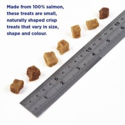 Fish4Dogs Training Adult Salmon Bites - 80 g