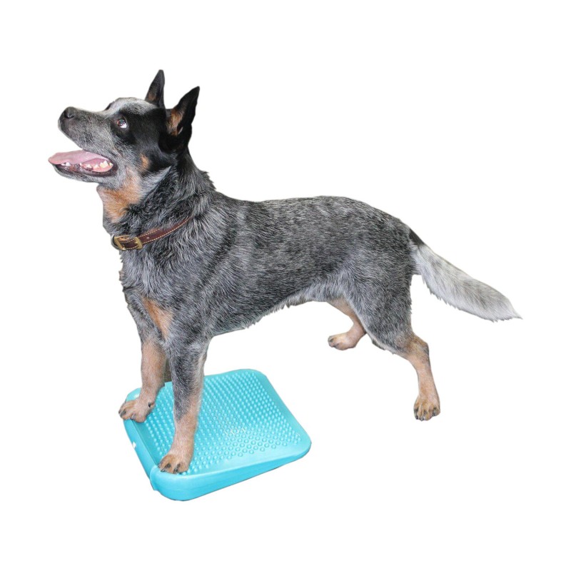 FitPAWS Balance Ramp