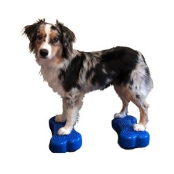 FitPAWS Bone Minis - 2er...