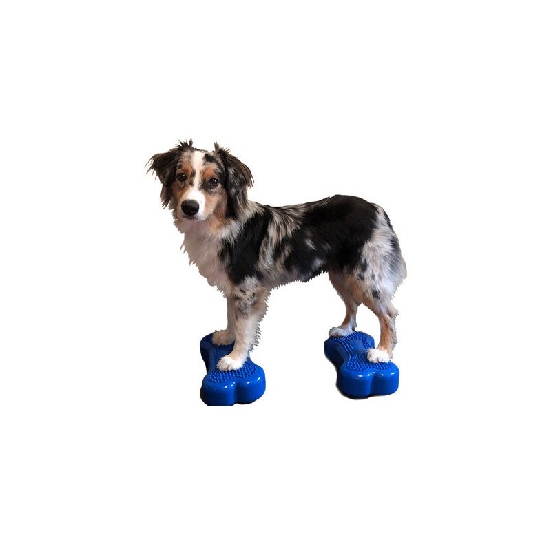 FitPAWS Bone Minis - 2er Set - Blau