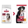 Hill's Science Plan Advanced Fitness Adult Large Breed Hundefutter - Huhn - 18 kg