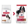 Hill's Science Plan Advanced Fitness Adult Medium Hundefutter - Lamm & Reis - 18 kg