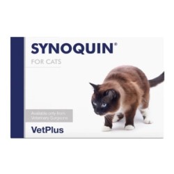 Vetplus Synoquin Katze - 90...