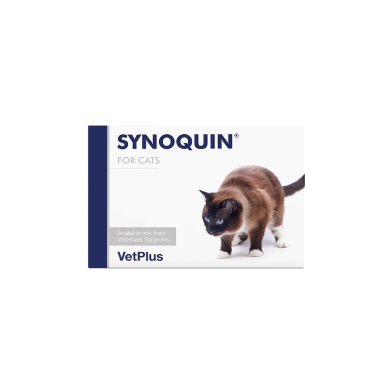 Vetplus Synoquin Katze - 90 Kapseln