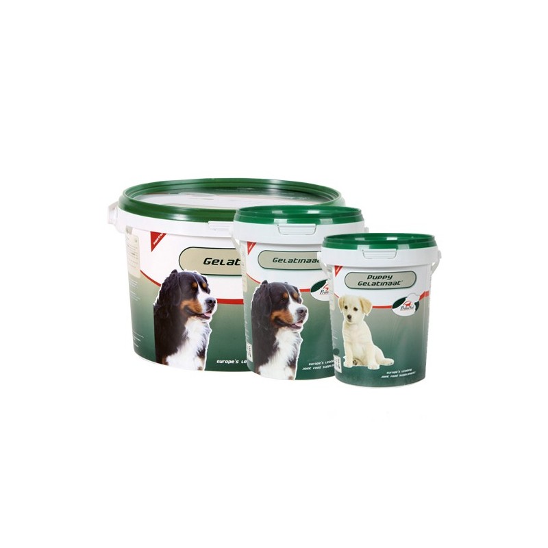 PrimeVal Gelatinaat Hund - 500 g