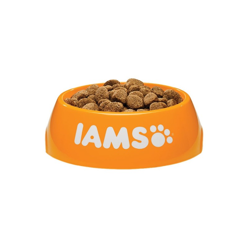 IAMS Adult Large Breed Hundefutter - Chicken - 12 kg