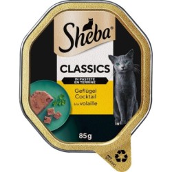 Sheba Schale Classics in...