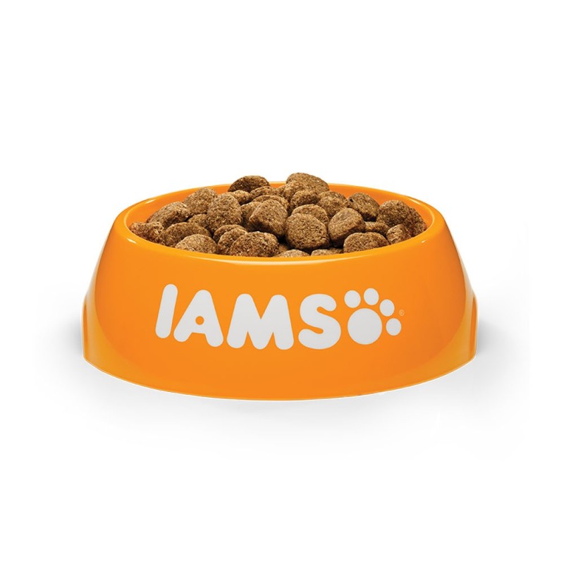 IAMS Adult Large Breed Hundefutter - Lamm - 12 kg