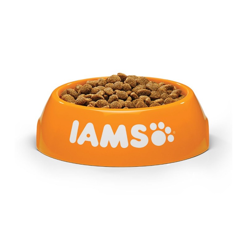 IAMS Adult Small & Medium Hundefutter - Lamm - 12 kg