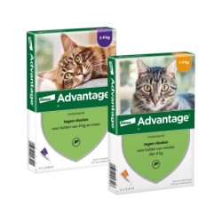 Advantage 40 Katze  4 kg -...