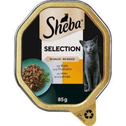 Sheba Schale Selection in...