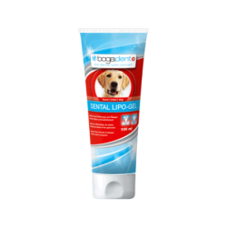 Bogadent Dental Lipo Gel Hund