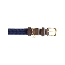 Kentucky Dogwear - Nylon  -...