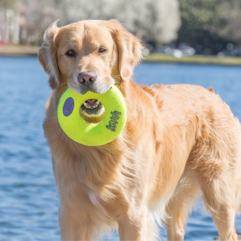 KONG Air Squeaker Donut - L