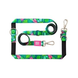 Max & Molly Multi-Function Hundleine - Tropical - S