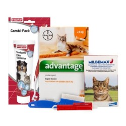 Medpets Kitten-Paket - 2...