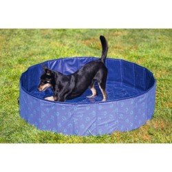 Beeztees Hundeschwimmbecken Doggy Dip - 120 x 120 x 30 cm