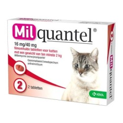 Milquantel große Katze (16...