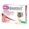 Milquantel große Katze (16 mg) - 4 Tabletten