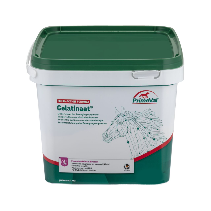 Primeval Gelatinat Pferd - 2 kg