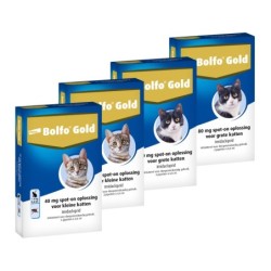 Bolfo Gold Katze 40 - 2...