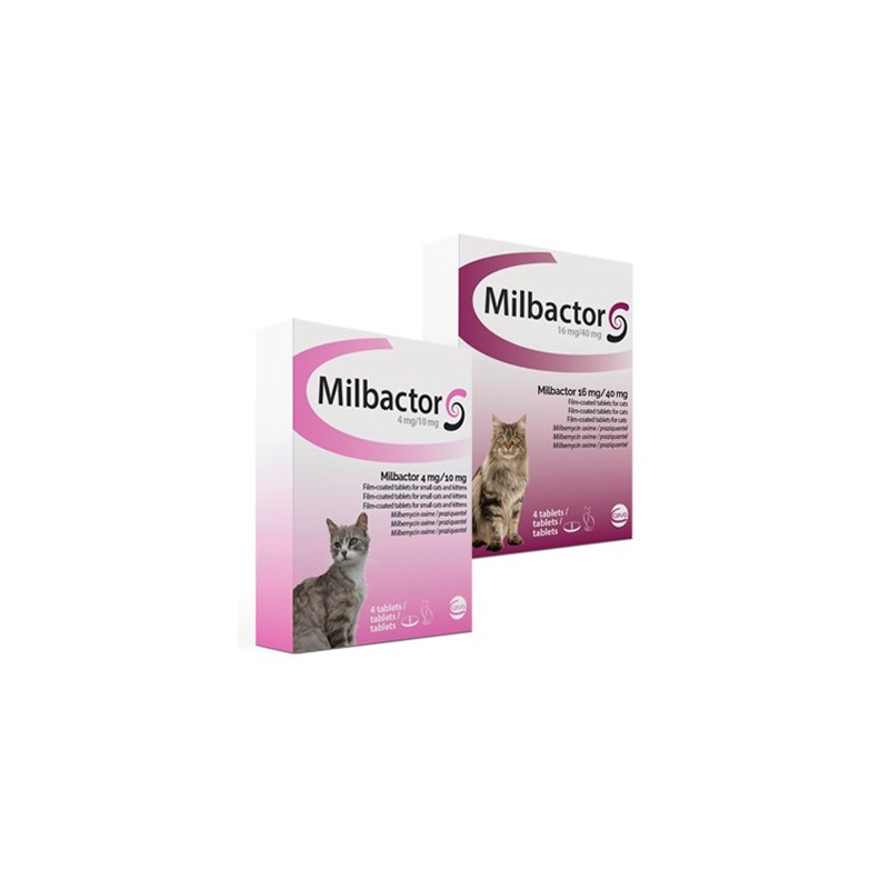 Milbactor Kitten und kleine Katzen - 4 Tabletten