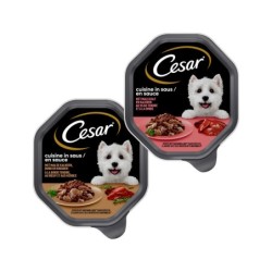 Cesar Cuisine in Sauce -...