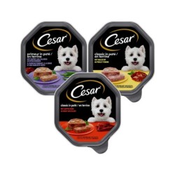 Cesar Classic in Pastete - Huhn - 14 x 150 g