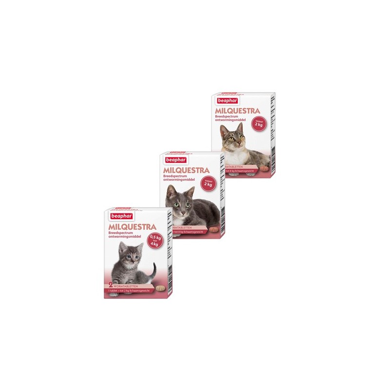 Beaphar Milquestra - große Katze - 2 Tabletten