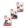 Beaphar Milquestra - große Katze - 2 Tabletten