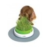 Catit Senses 2.0 Grastopf - Grassamenset