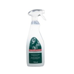 Grand National Equipe Gloss Glanzspray