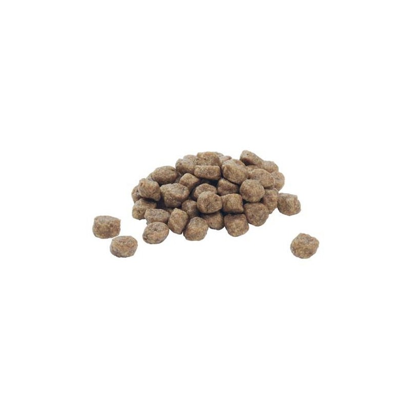 Purina Pro Plan Small & Mini Puppy Hundefutter - 3 kg