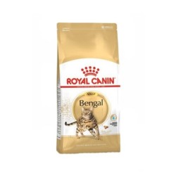 Royal Canin Adult Bengal -...