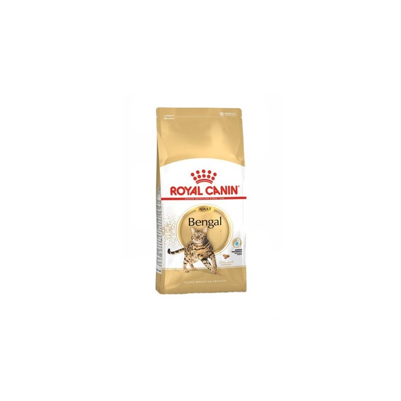 Royal Canin Adult Bengal - Katzenfutter - 10 kg