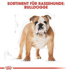 Royal Canin Bulldog Adult...