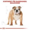 Royal Canin Bulldog Adult Hundefutter - 3 kg