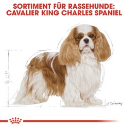 Royal Canin Cavalier King...