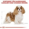 Royal Canin Cavalier King Charles Adult Hundefutter - 1,5 kg