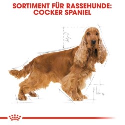 Royal Canin Cocker Adult...