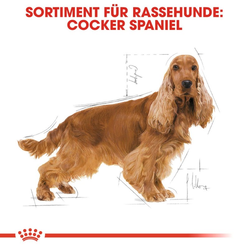 Royal Canin Cocker Adult Hundefutter - 3 kg