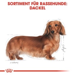 Royal Canin Dachshund Adult...